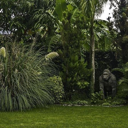 Casa Domingo Hotel Petit Miacatlan Bagian luar foto