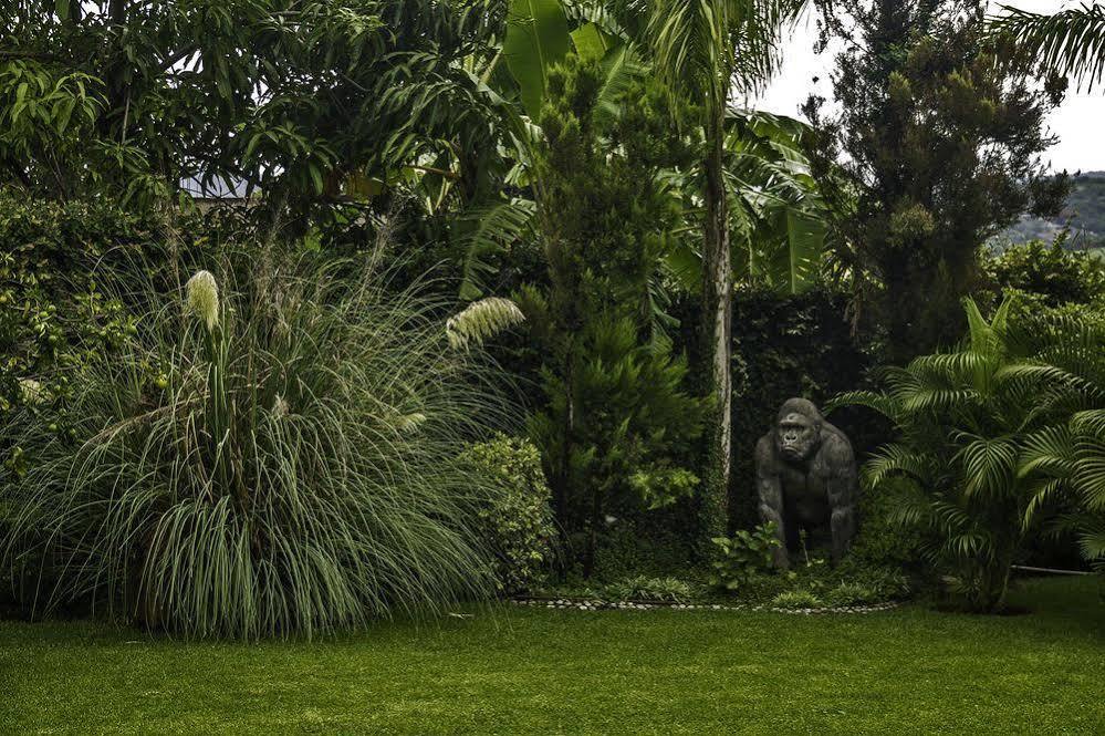Casa Domingo Hotel Petit Miacatlan Bagian luar foto